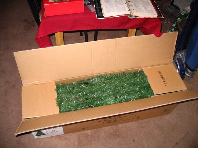 Christmas tree in a box